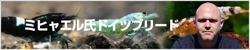 ミヒャエル氏ドイツブリード