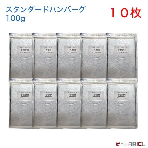 画像1: スタンダードハンバーグ　１００g　１０枚セット (1)