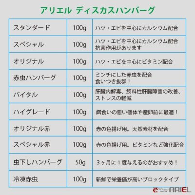 画像1: 【今週のおすすめ】スタンダードハンバーグ　１００g　１０枚セット