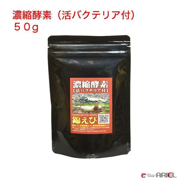 画像1: 濃縮酵素（活バクテリア付）　５０g　エビ　蝦　アクアリウム　水草　熱帯魚　shrimp aquarium water plants (1)