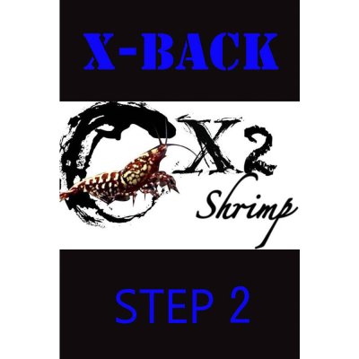 画像1: X-ＢＡＣＫ　STEP２　(3個入り)　エビ　蝦　アクアリウム　水草　熱帯魚　shrimp aquarium water plants