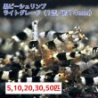 画像1: 【黒ビー　ライトグレード　（約１４mm）】5・10・20・30・50匹　死着保証１匹　エビ　蝦　アクアリウム　水草　熱帯魚　shrimp aquarium water plants (1)